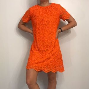 ORANGE LACE ZARA DRESS!!